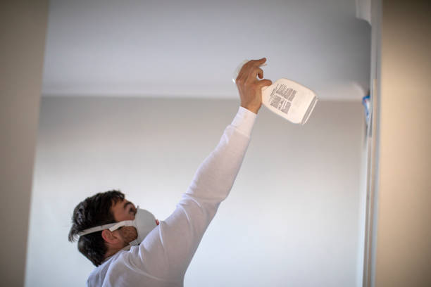 Best Local Mold Removal Service  in Herlong, CA
