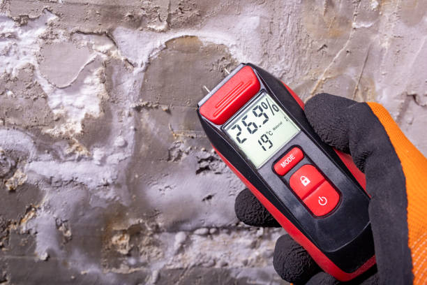 Professional Mold Removal in Herlong, CA