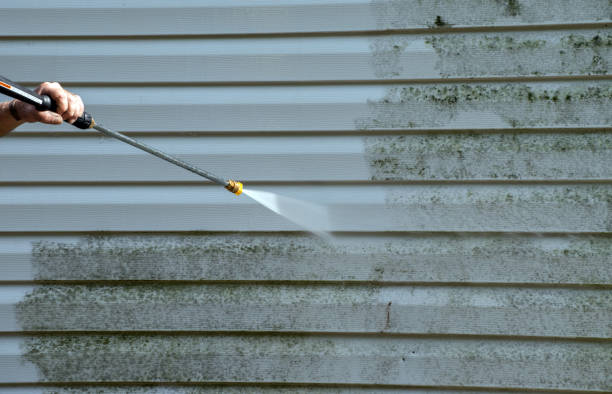 Best Mold Cleaning Services  in Herlong, CA