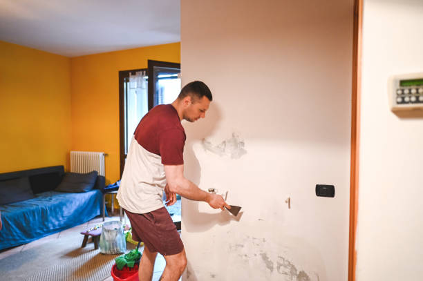 Best Professional Mold Removal  in Herlong, CA